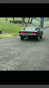 One day you can’t hear! 🇺🇸 | Classic American Muscle Cars