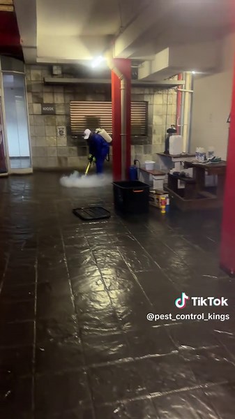 Pest Control Kings: Pretoria & Jhb