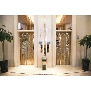 [Hot Item] Roomless 6 Person Residential Passenger Elevator