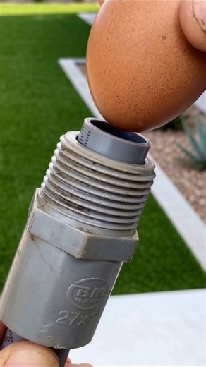 DIY PVC Lawn Sprinkler: How to Build a Budget Garden Irrigation System