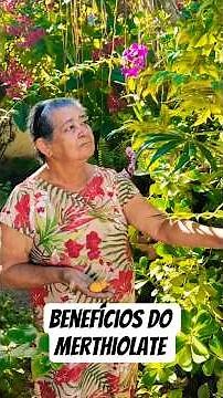 Benefits of the Merthiolate plant. #myorchard #realnature #plants #tips #viralvideo