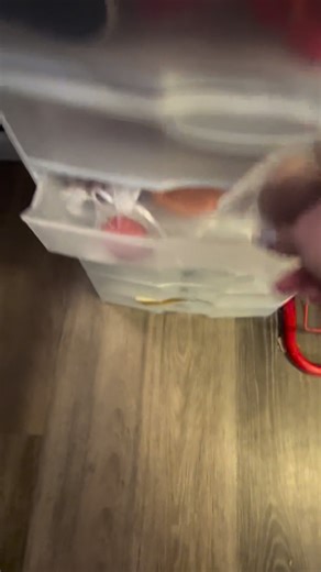 📦✨ Packing up Amy’s order and feeling so thankful ✨📦 She trusted us with a 20-item Cozy Reader (Good Girl color choice), a 20-item pink Self-Care box, a Romance Blind Date with a Book, plus a packing video 💗📚 And on top of that, she left a $5.12 tip — thank you so much for the extra love and support 🥹 Thank you, Amy, for trusting us with your order. We loved putting every piece of this one together and hope it brings you all the cozy, feel-good vibes 💕 | Good Girl & Co.