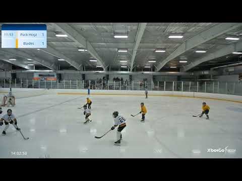 March 14, 2026 - Puck Hogz vs Wheatfield Blades