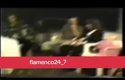 flamenco24_7 on TikTok