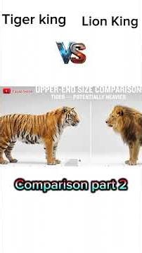 lion king V's tiger king part 2 #shorts #lion