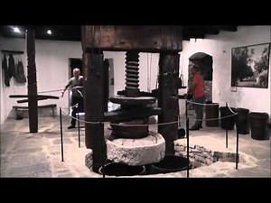 Stone Pressing Olive's to make Extra Virgin Olive Oil