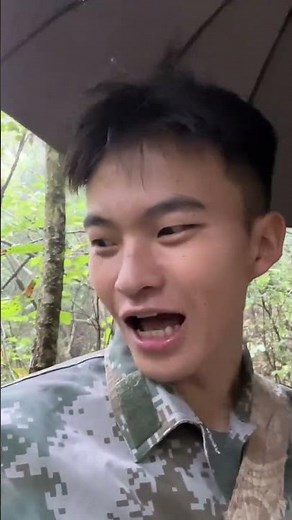 Discover Yunnan's Wild Mushroom Treasure: Primeval Fungi