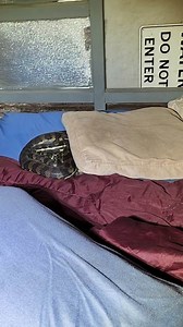 Not an ideal friend to share your bed with! How's this for an unwanted bedroom guest! The funny thing was is that the bloke was happy to leave it in the van, however his girlfriend said she wouldnt sleep over if the snake was in there with them hahaha! The snake was relocated to some nearby bushland! Remember to give us a cal if you need a snake relocated. Always available! 0409536000 To use this video in a commercial player or in broadcasts, please email licensing@storyful.com | Sunshine Coast 