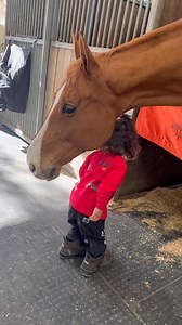 今日の皇河とルーシー じぃじぃの大きな靴を履いてルーシーのお手入れ中 | Master Horse