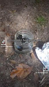 4K views · 140 reactions | Found mystery poop in the yard. Someone on Facebook told me to soak it in water. Why? Not sure. But I'm always down for a nonsensical experiment. How long should i soak it? And why? #wildlife #lesbianfarmers #poop #mysterypoopmonday | Hairy Farmpit Girls | Facebook