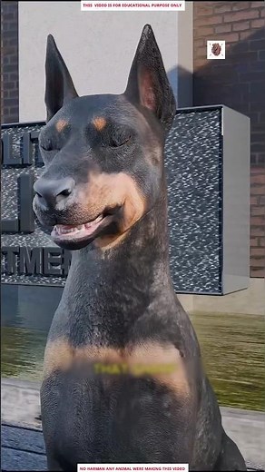 Why Military Dogs Have Their Ears and Tails Cut 😱