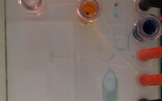 Lab on a Chip Demonstrator of Basic Microfluidic Chip Functions