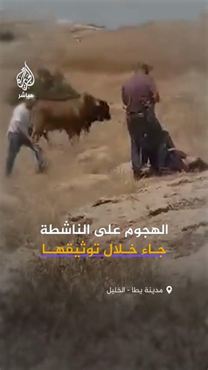 وكالة الأنباء الفلسطينية: مستوطنون يعتدون بالضرب على ناشطة أجنبية في منطقة خلة الحمص