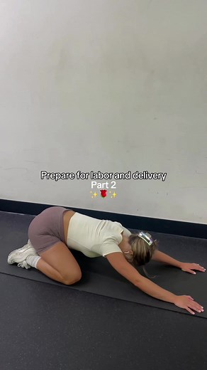 Dr. Meagan | Pelvic Floor PT on TikTok