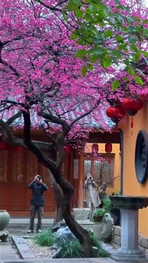 Recursive Sapphire_11