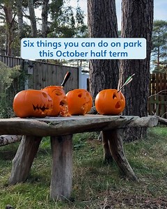 Who's chosen a treat at Haven for this half term? 🍭 Here's a few things to expect on your Halloween break👻🎃👇 | Haven