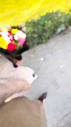 Preet ਪੰਨੂ 🦅 on Instagram: "#trending #viral #reels #post"