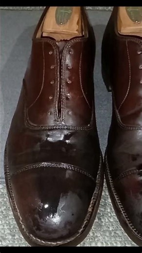 VeL - Alden Shell Cordovan Captoe Shoecare Service (Shorts)