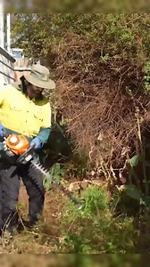 Transforming a Forgotten Yard into a Family Haven! | Lawn Care Free