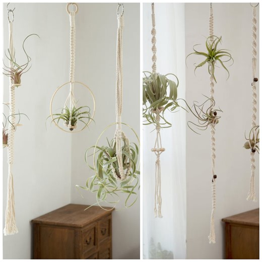 Air Plant Hanger Hanging Air Plant Holder Airplants Display Wall Planter Simple Minimalist Macrame Rope Planter Boho Plant Lover Gifts - Etsy