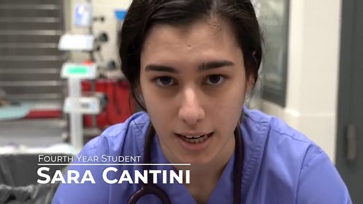 Veterinarians, MDs team up for canine open-heart surgery | Cornell Chronicle