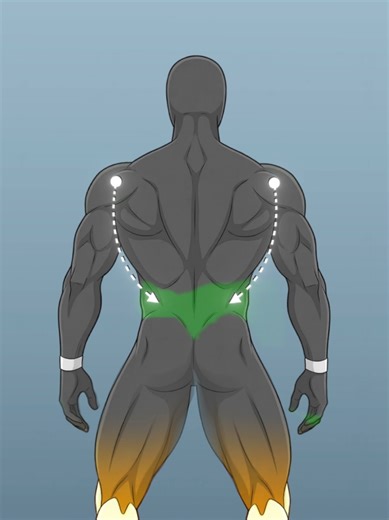 The secret to an aesthetic physique #bodybuilding #fitness #calisthenics #gym #physique