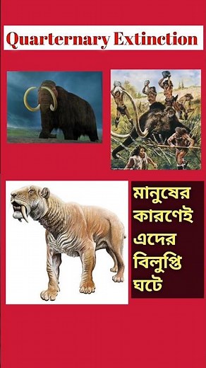 Why Quarternary Extinction Happened?