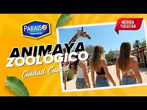INCREIBLE: ASI ES ZOOLOGICO ANIMAYA en Mérida Yucatán - MIRA ESTE VIDEO Y COMENTANOS que te parece