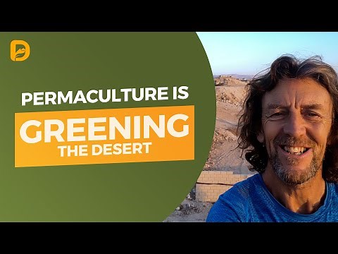Permaculture is Greening the Desert