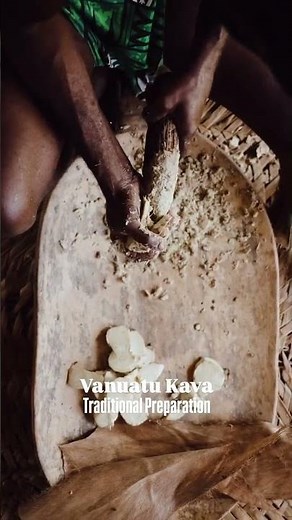 Préparation traditionnelle du kava au Vanuatu 🇻🇺🥥