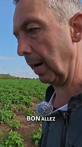 34K views · 212 reactions | Découvrez notre installation d'irrigation goutte à goutte ! Voyez comment nous avons simplifié le processus avec des brides, adapté l'irrigation à notre forage sur le nouvelle vidéo disponible sur ma chaîne Youtube ! #Irrigation #GoutteÀGoutte #Agriculture #Eau #Forage #Installation #DIY #Jardinage #Agricole #Écologique | Thierry Agriculteur d'aujourd'hui | Facebook