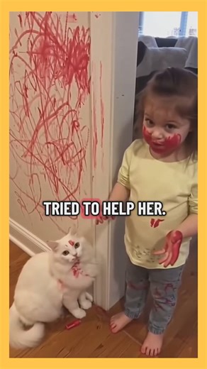 42K views · 682 reactions | Kitty did it!  #cats #catoftheday #cat #fypシ゚viralシ | Cheer Up | Facebook