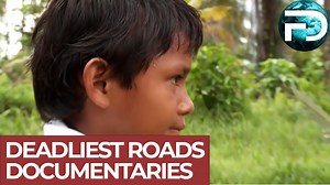 465K views · 11K reactions | 11-year-old Greyven's journey to school takes him through the so-called ‘snake field’, in which coral snakes and the infamous boa constrictor reside. | Free Documentary | Facebook