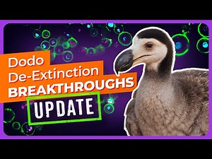 BREAKTHROUGH: Bringing the Dodo Back from Extinction