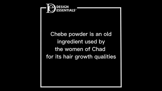 Wondering what is so special about the Design Essentials Chebe range? Well it all starts with history of chebe powder… #AfricanChebe #hairgrowth #haircare | Design Essentials Southern Africa