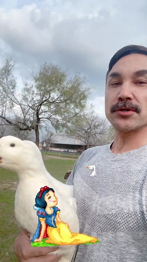 The Gay Cowboy and His Birds Video Compilation