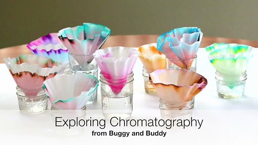 393K views · 209 reactions | Explore chromatography with coffee filters and turn the results into colorful butterflies: https://buggyandbuddy.com/chromatography-butterflies-separating-colors-in-markers/ | Buggy and Buddy: Science, Crafts, and Activities for Kids | Facebook