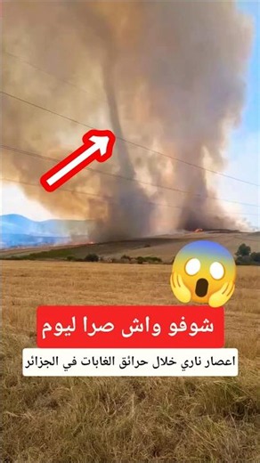 Fire tornado during forest fires in Algeria #Algeria