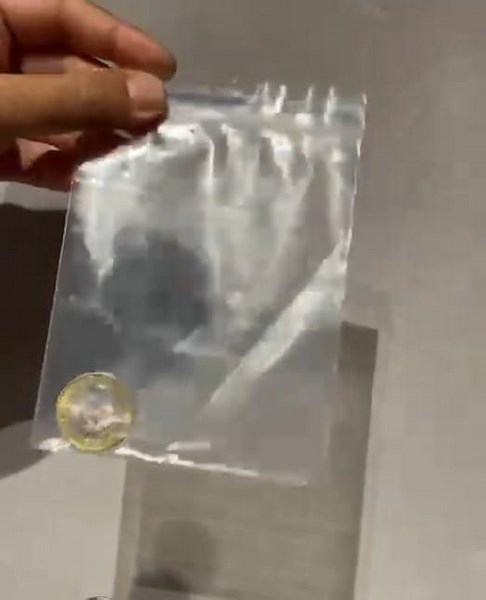 Coin Thru Bag Trick using split coin