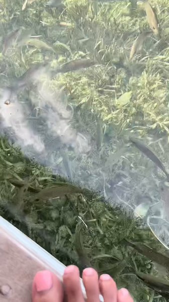 Black Couple Vacation in Key West, Florida