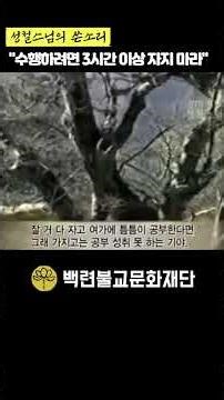 Venerable Seongcheol: "The first rule for practitioners: Do not sleep more than 3 hours a day!" #...