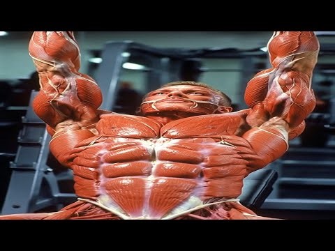 TOP 10: How to Do the PERFECT Bench Press