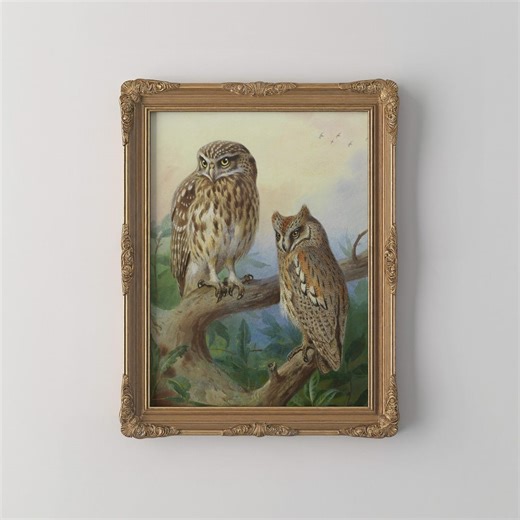 PRINTED Vintage Owl Wall Art Woodland Owl Print Antique Bird Illustration Rustic Forest Decor Nature Wildlife Art Cottagecore Decor VPI-83 - Etsy