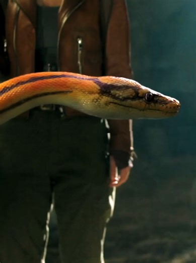 Exploring Python Island: An Action-Packed Adventure