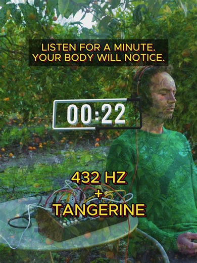Listen for a minute. Your body will notice. This sound is created in 432Hz, using the bioelectric signals of a living tangerine tree, translated into music with a modular synthesizer. Don’t scroll. Just listen. Notice what happens inside you. #432Hz #PlantMusic #SoundHealing #DeepRelaxation #MindfulMoments #NatureTok