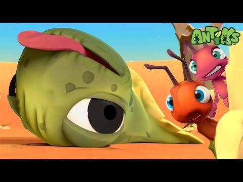 Saving the Baby Tadpole! | Antiks 🐜 | Funny Cartoons for Kids