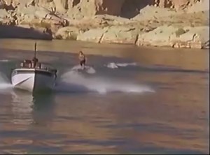 3.2K views · 51 reactions | “Have you seen Gator ride the Squirt in...