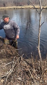 4.8K views · 94 reactions | Spring beaver trapping catch Part 5 | Dunlap LURES | Facebook