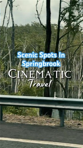 Scenic Spots In Springbrook - Queensland #onemillionviews #shorts #queensland #waterfall #nature