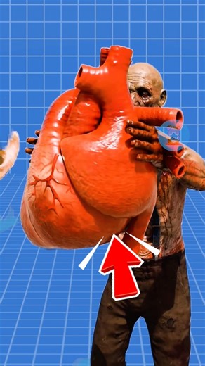 TRÁI TIM CỦA T REX VS ARGENTINOSAURUA | 😨 #fact #amazingfacts #thaukinhdongvat